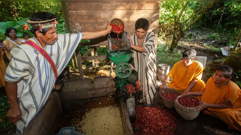Más de 2 mil indígenas en la Amazonía peruana demuestran que la protección de sus bosques no está reñida con el desarrollo
