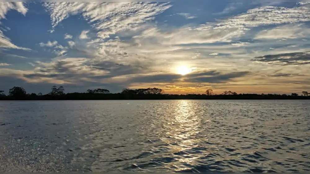 Ucayali: 50 mil hectáreas de selva buscan frenar la depredación a través del ecoturismo y frutos amazónicos