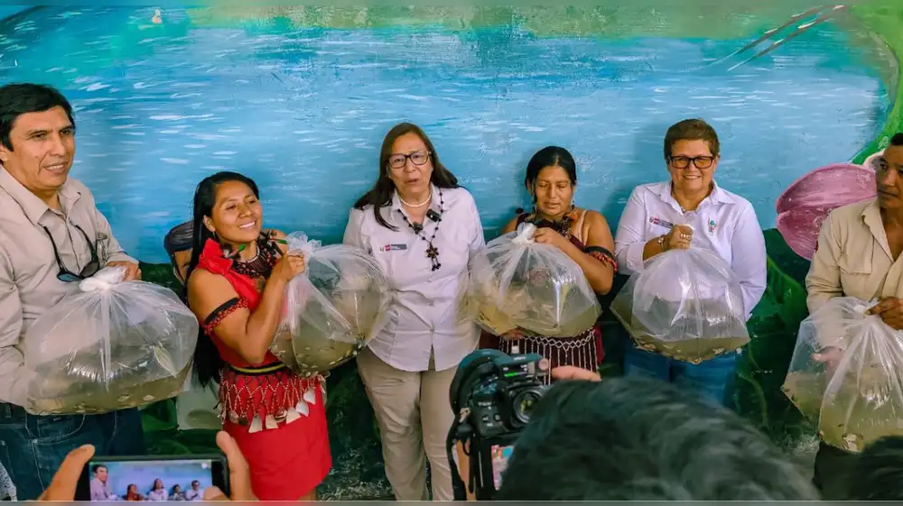 San Martín: Entregan 90 mil alevinos a familias awajún y mestizas
