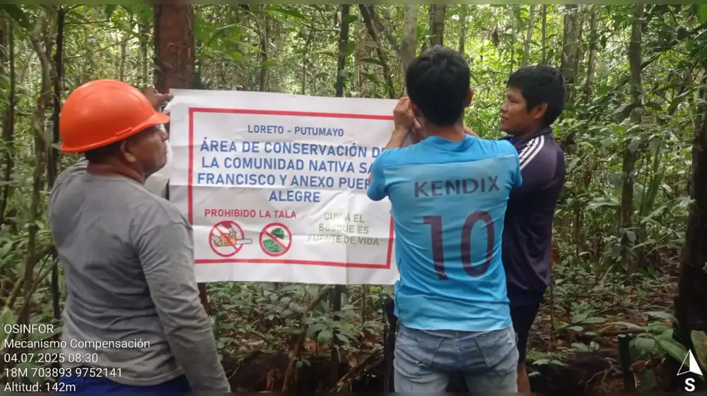 Comunidades amazónicas de Loreto compensan multas forestales protegiendo los bosques