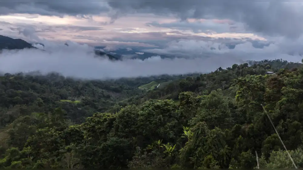Bosques Nublados de Udima pasan a la jurisdicción de fiscalía