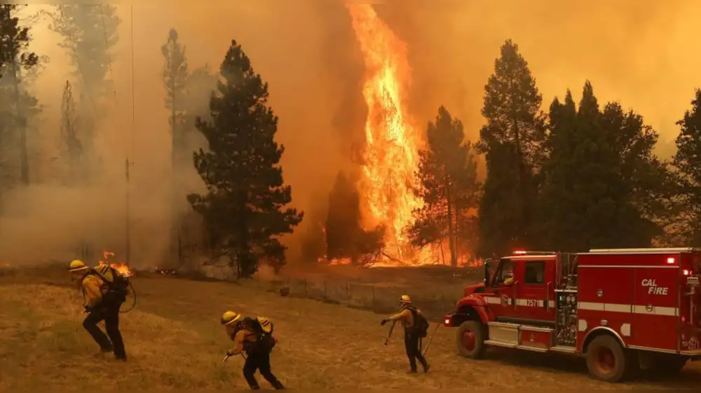 Incendios forestales arrasan 157 millones de hectáreas