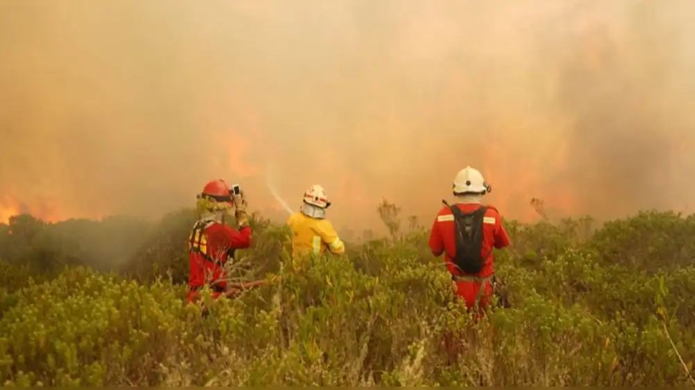 Incendios forestales amenazan 488 distritos del Perú