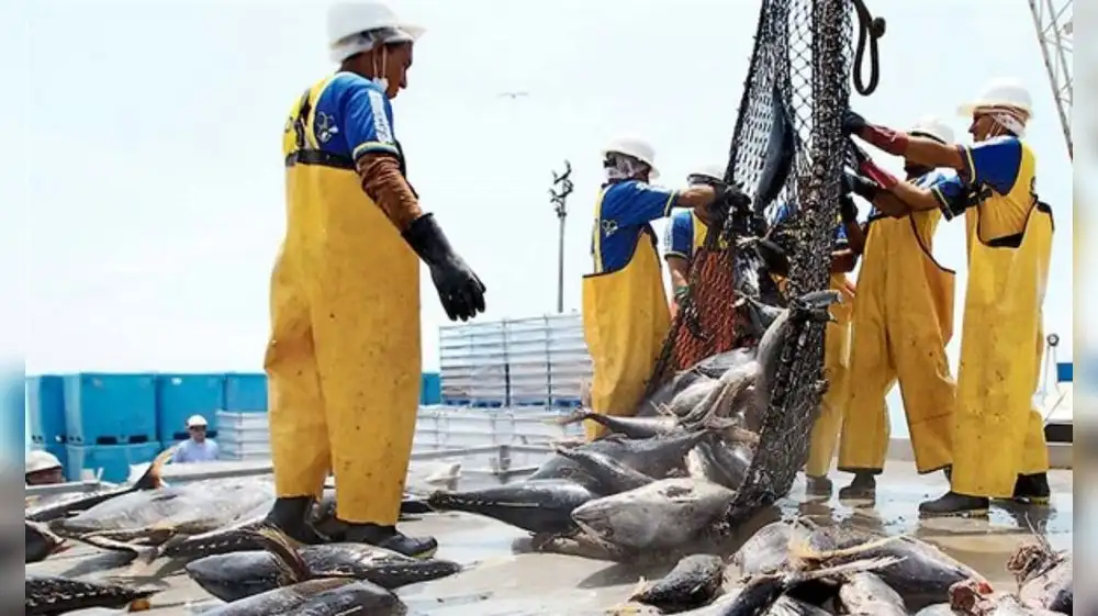 Congreso: fuerte presión para que no se apruebe ley que protege reservas marinas de la pesca industrial