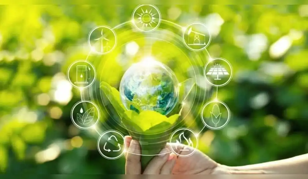 sustentabilidad sustentabilidad
