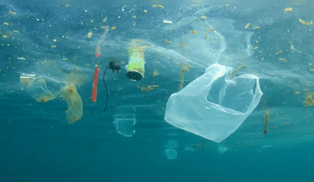 La tecnología y el propósito socioambiental se encuentran en el reciclaje