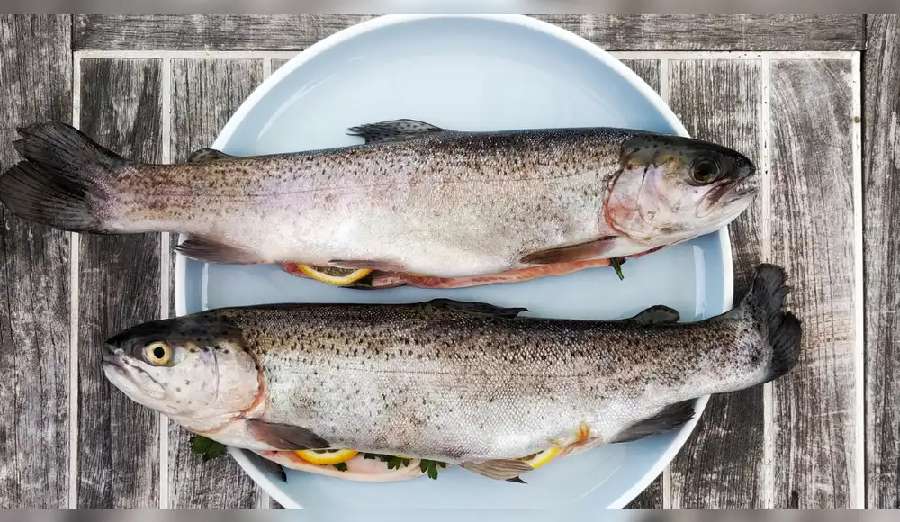 Recomendación de nutricionista: ¿Por qué es importante comer pescado? Recomendación de nutricionista: ¿Por qué es importante comer pescado?