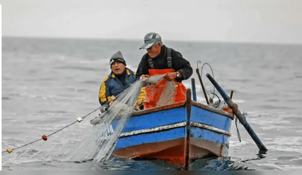 Se aprueba ley que salvaguarda las primeras 5 millas marinas de la pesca industrial