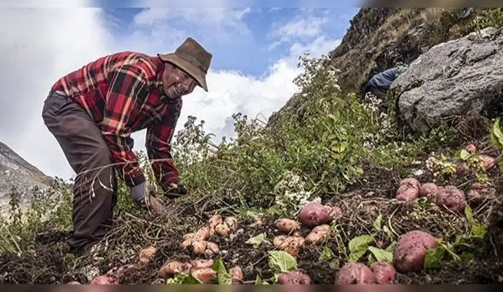 Día del Campesino: tecnificación del riego y su impacto en Áncash. Día del Campesino: tecnificación del riego y su impacto en Áncash.