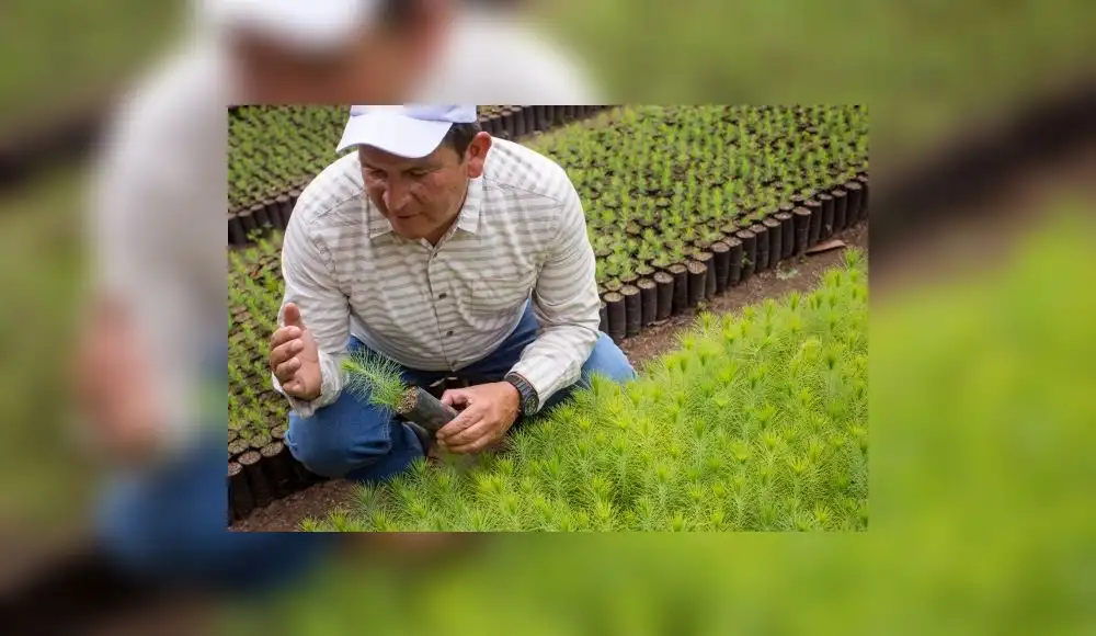 Proyecto Oxapampa busca proteger la reserva ubicada en Pasco Proyecto Oxapampa busca proteger la reserva ubicada en Pasco