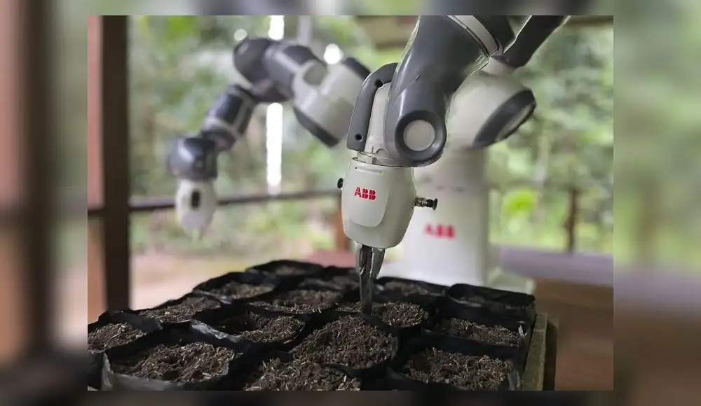 robot