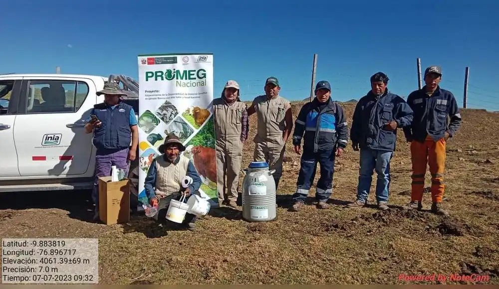 "Mejora genética y producción láctea revolucionan Ancash".