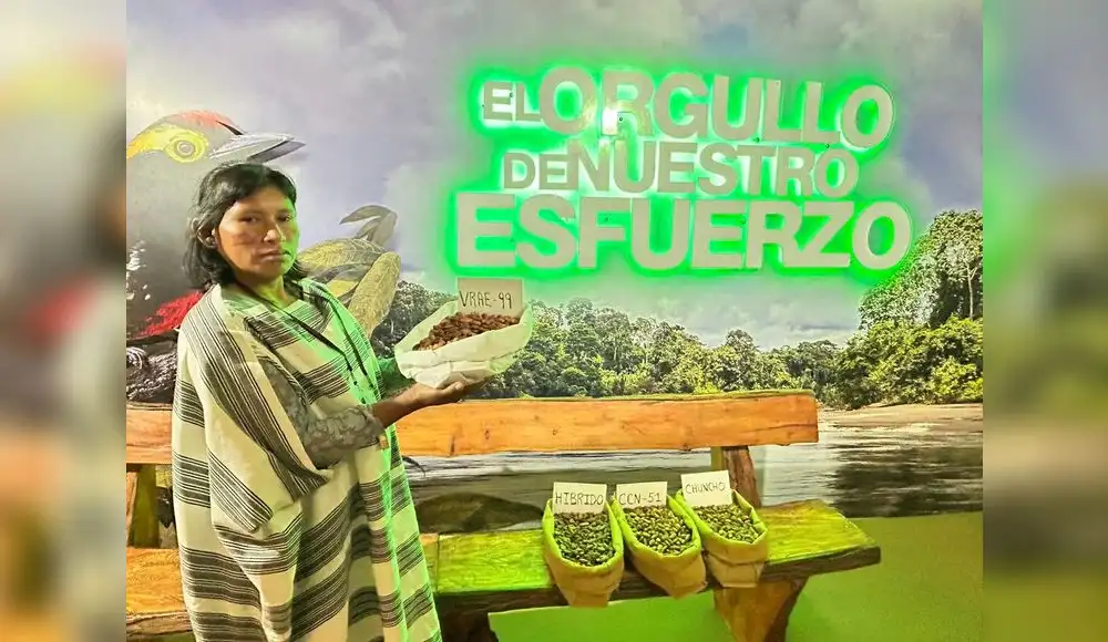 Cacao ecológico de comunidad nativa de Kirigueti del Bajo Urubamba destaca en feria internacional de Lima Cacao ecológico de comunidad nativa de Kirigueti del Bajo Urubamba destaca en feria internacional de Lima