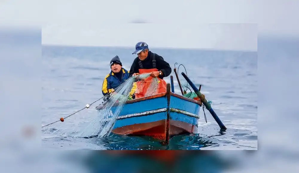 Pesca Pesca