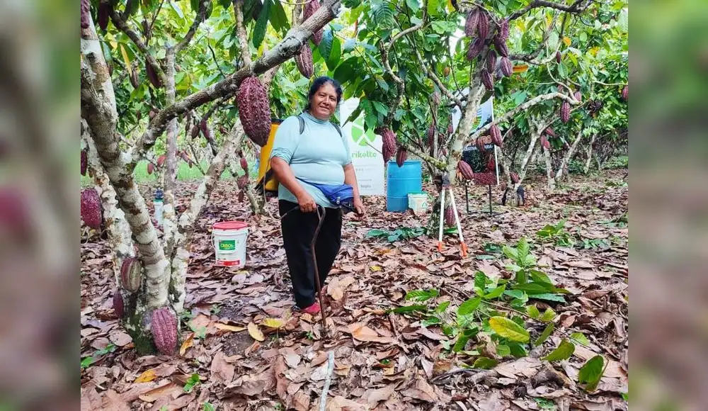 Cacao Cacao