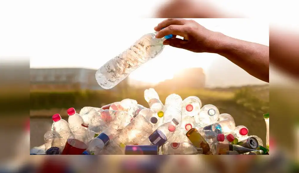 Cómo disminuir el uso de bolsas plásticas en la vida cotidiana