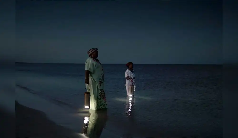 Waterlight
