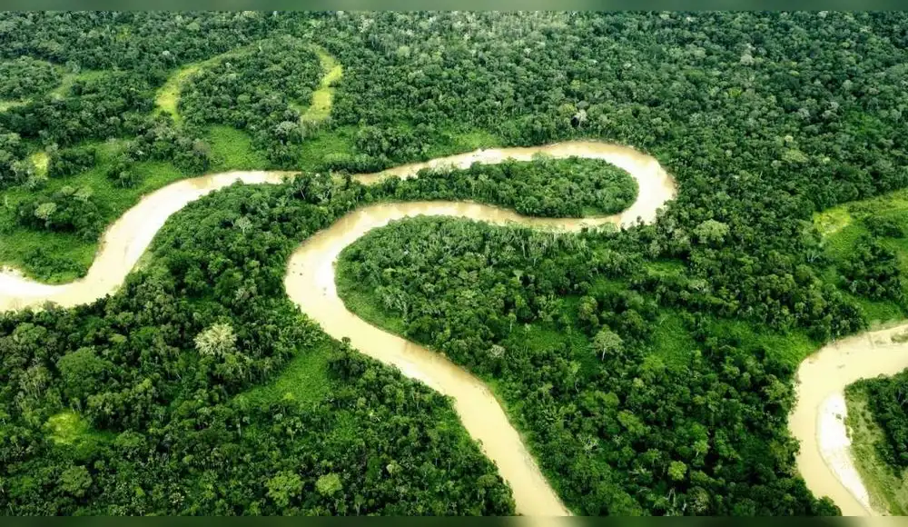 Ecuatorianos deciden proteger el Parque Nacional Yasuní Ecuatorianos deciden proteger el Parque Nacional Yasuní