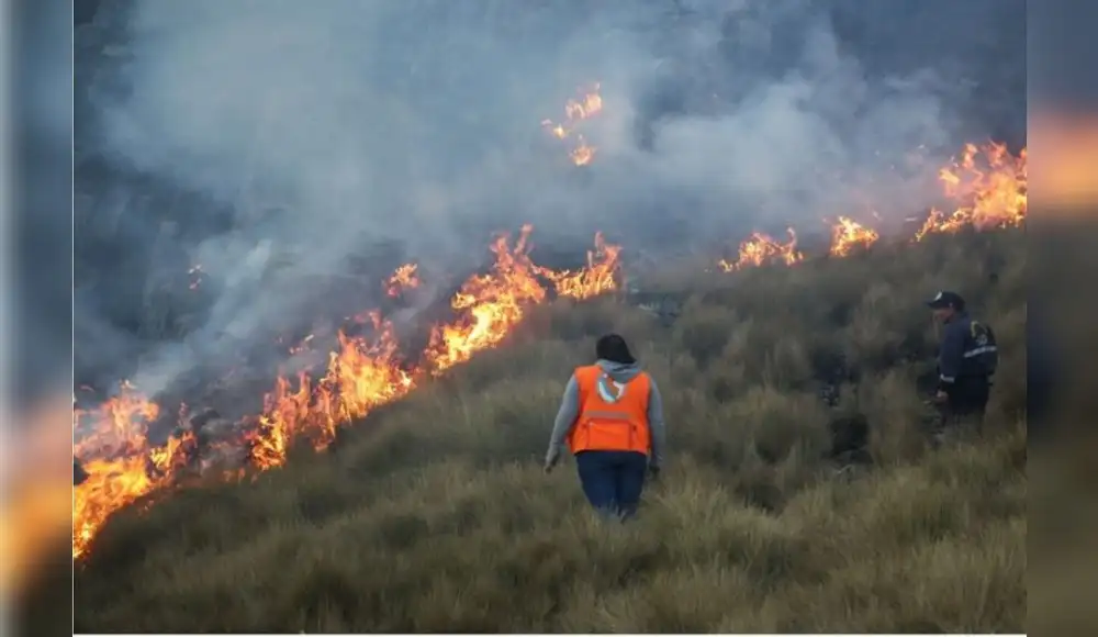¿Cuáles son las causas que favorecen los incendios forestales en el país?