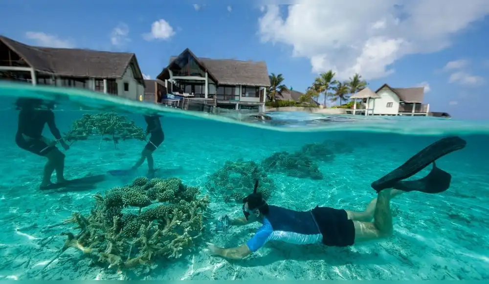 50% de turistas buscan viajes más sustentables 50% de turistas buscan viajes más sustentables