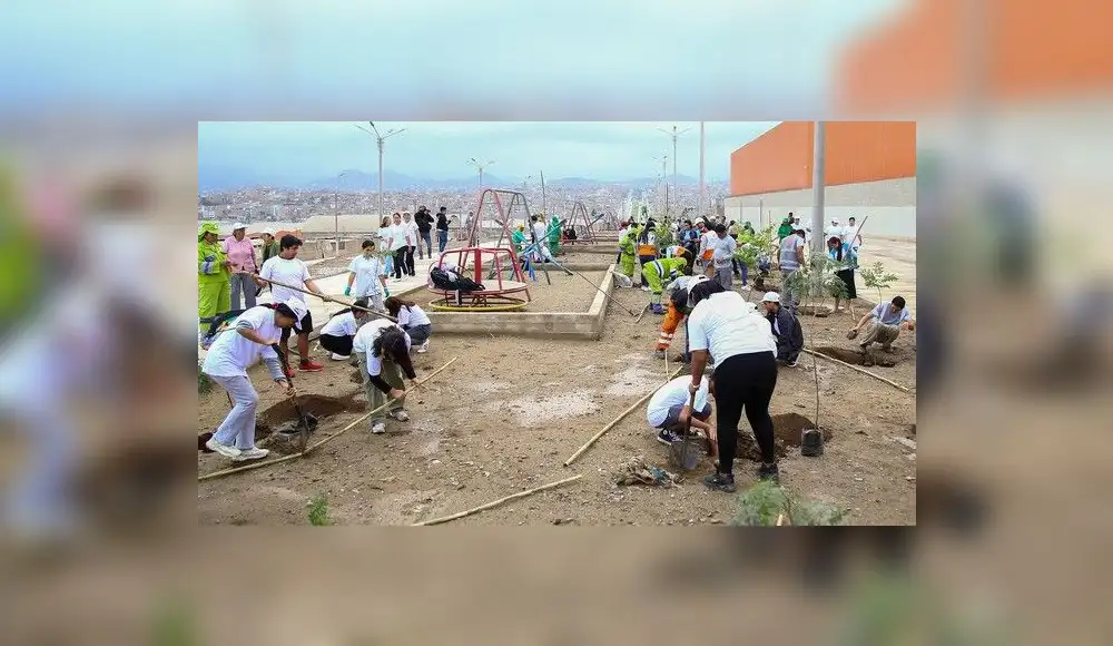 Segunda Gran Cruzada Verde proyecta plantar un millón de árboles Segunda Gran Cruzada Verde proyecta plantar un millón de árboles
