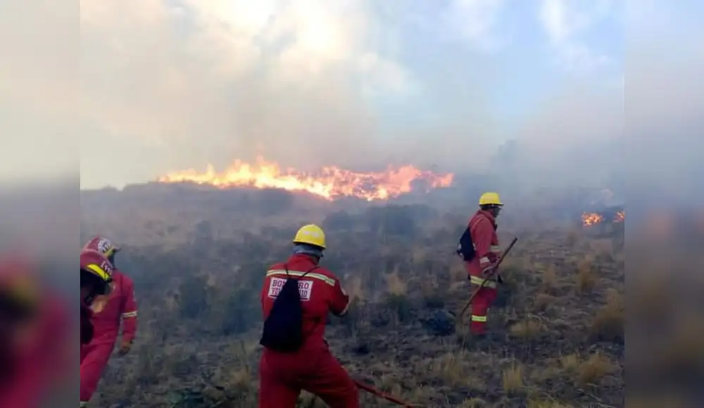 ONU: Incendios forestales aumentarán un 30% al 2050