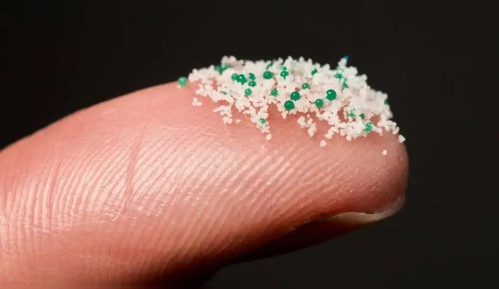 ¿Son los microplásticos dañinos para la salud? ¿Son los microplásticos dañinos para la salud?