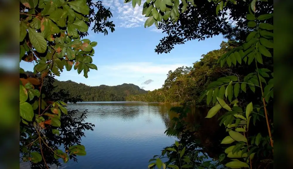 Invertirán $ 19.7 millones en la conservación de bosques tropicales