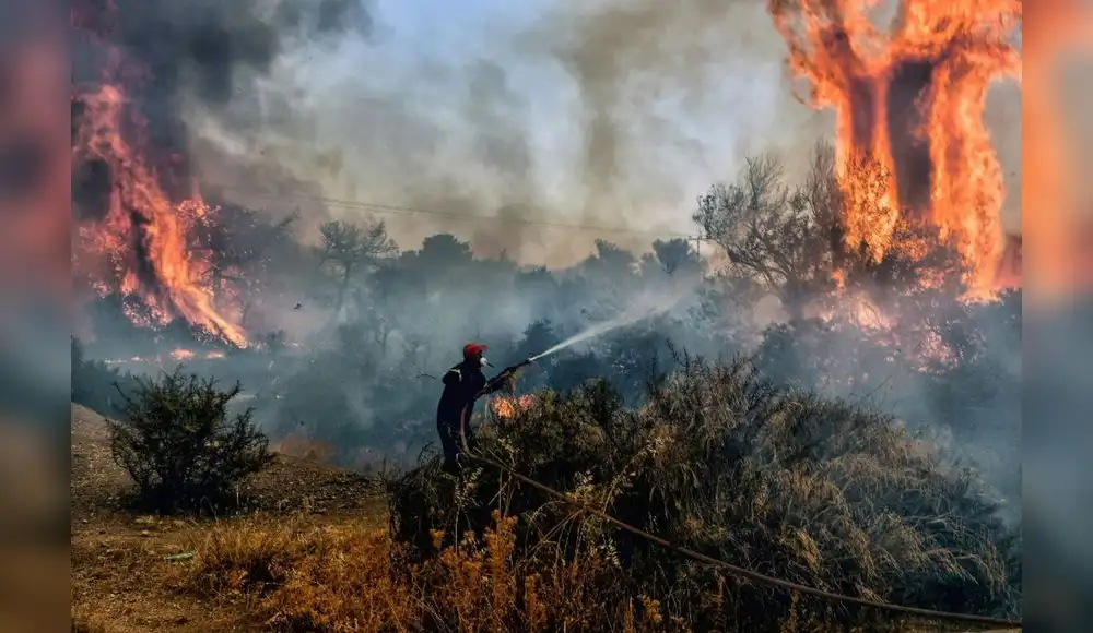 Lanzan herramienta digital para prevenir incendios forestales Lanzan herramienta digital para prevenir incendios forestales
