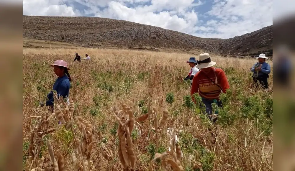 Bolivia sufre por la mayor sequía de los últimos años Bolivia sufre por la mayor sequía de los últimos años