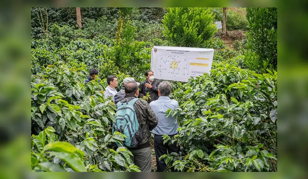 Atlas Copco Perú obtiene estrella por cuidar del medio ambiente Atlas Copco Perú obtiene estrella por cuidar del medio ambiente