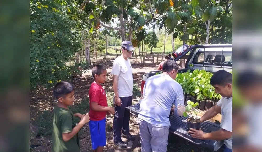 San Martín: Plantan 10,000 árboles en Parque Cordillera Azul