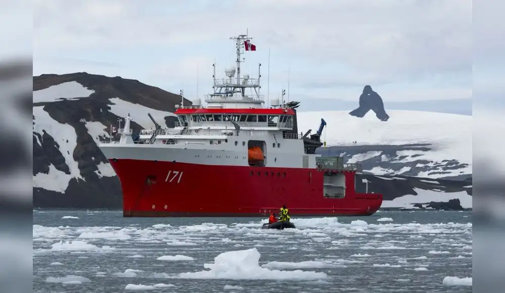 Antártida: plataformas de hielo pierden casi la mitad de su masa