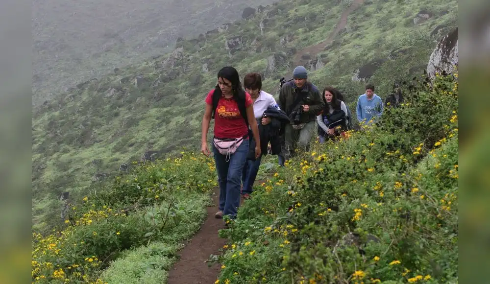 Nueva área de conservación protegerá ecosistemas costeros