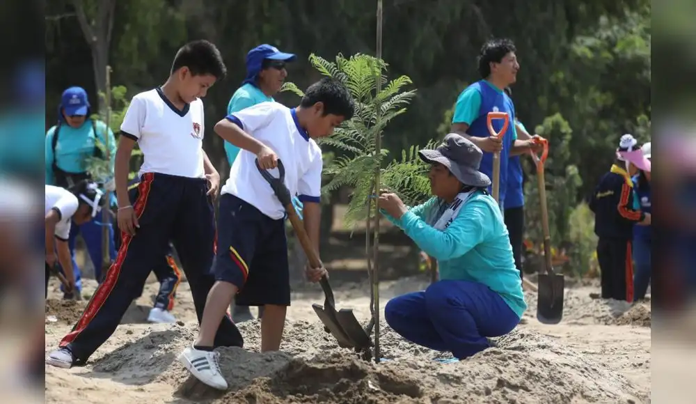 Escolares del país plantaron árboles para cuidar el medio ambiente Escolares del país plantaron árboles para cuidar el medio ambiente