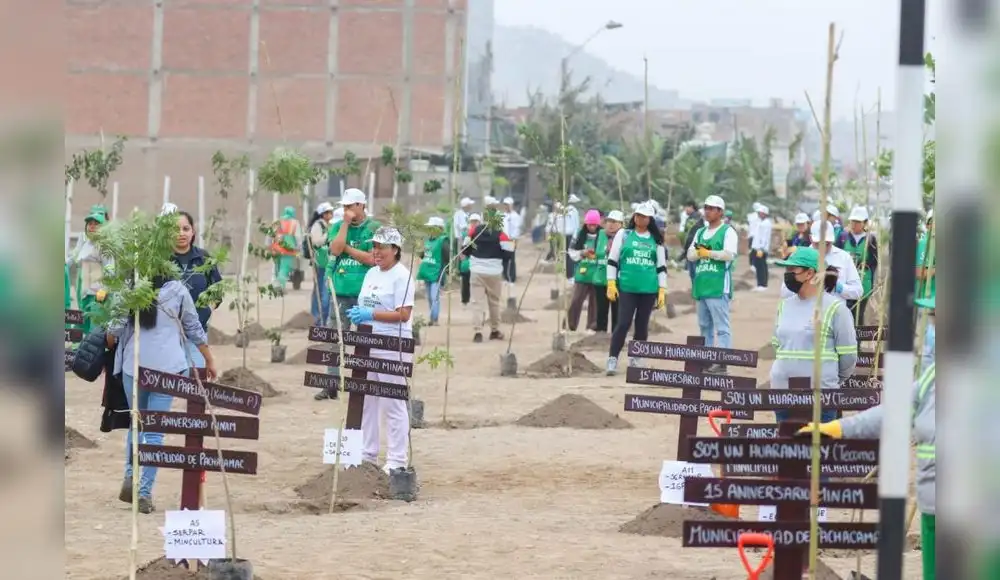 Más de 1 millón de árboles fueron sembrados en Gran Cruzada Verde
