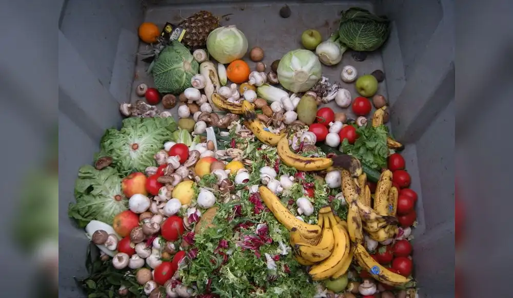 UE busca reducir desperdicio de alimentos en un 30% UE busca reducir desperdicio de alimentos en un 30%