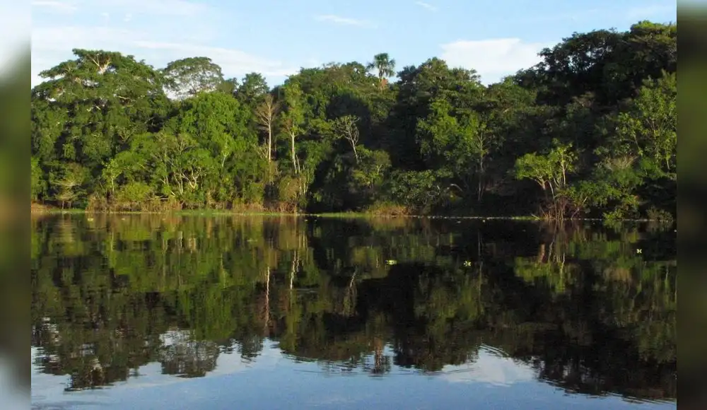 Serfor: Inicia Semana Nacional Forestal 2023 Serfor: Inicia Semana Nacional Forestal 2023