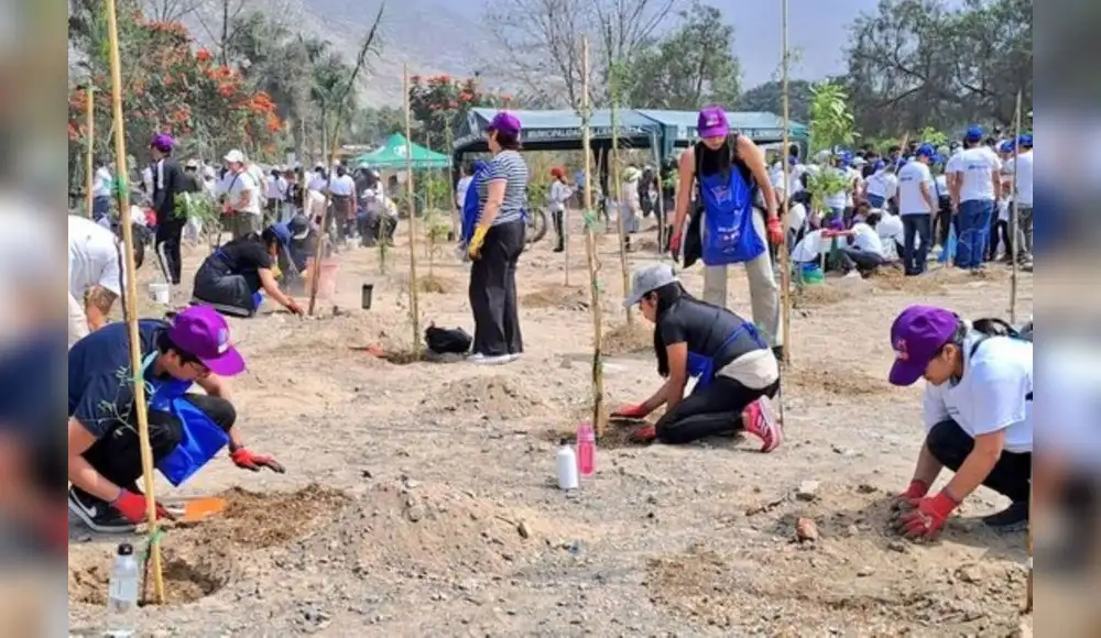 Arequipa: ciudadanos convierten botadero en pequeño bosque Arequipa: ciudadanos convierten botadero en pequeño bosque