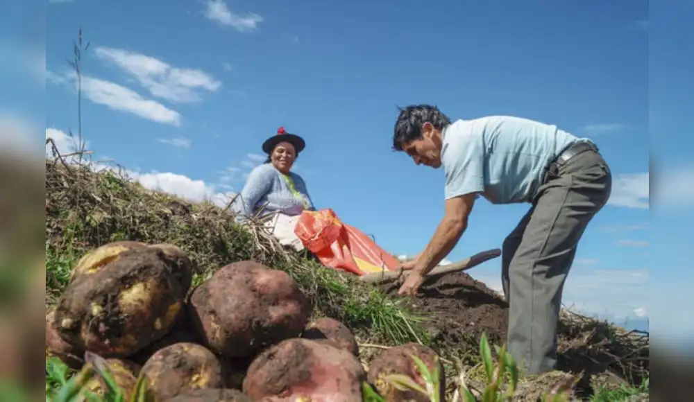 APEC 2024: Trujillo recibirá a 21 ministros de agricultura APEC 2024: Trujillo recibirá a 21 ministros de agricultura