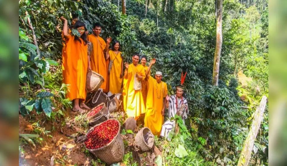 Pequeños productores recibirán tierras para reducir deforestación Pequeños productores recibirán tierras para reducir deforestación