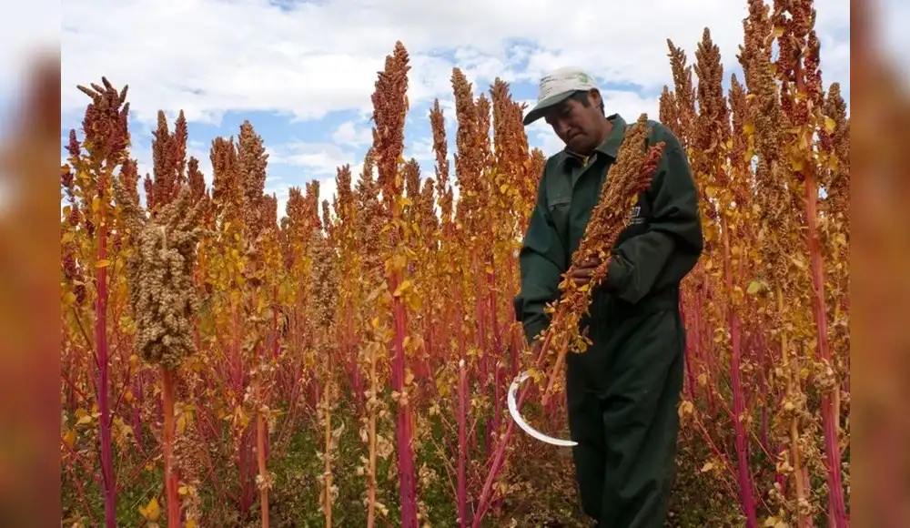 Empresas son reconocidas por uso sostenible de bioproductos Empresas son reconocidas por uso sostenible de bioproductos