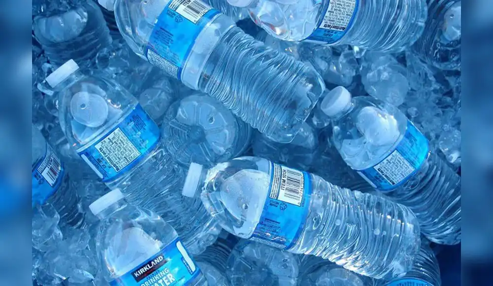 Botellas de agua contienen 240,000 partículas de nanoplástico Botellas de agua contienen 240,000 partículas de nanoplástico
