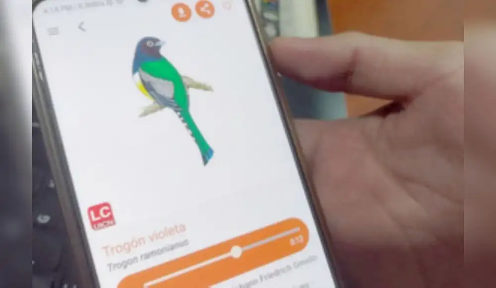App móvil permite conocer más de 500 especies de flora y fauna