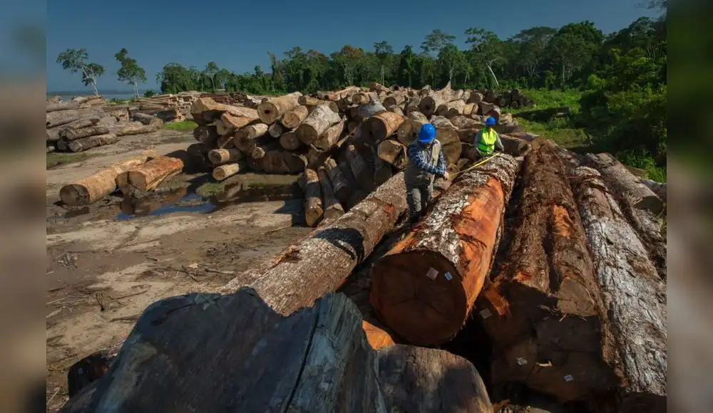 Ley Forestal: Cuatro países de Europa rechazan su modificatoria Ley Forestal: Cuatro países de Europa rechazan su modificatoria