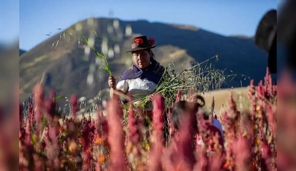Destinan S/ 168 millones para garantizar agricultura sostenible Destinan S/ 168 millones para garantizar agricultura sostenible