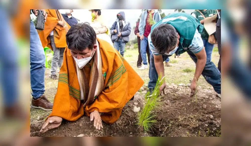 Arequipa ejecuta jornada de reforestación Arequipa ejecuta jornada de reforestación