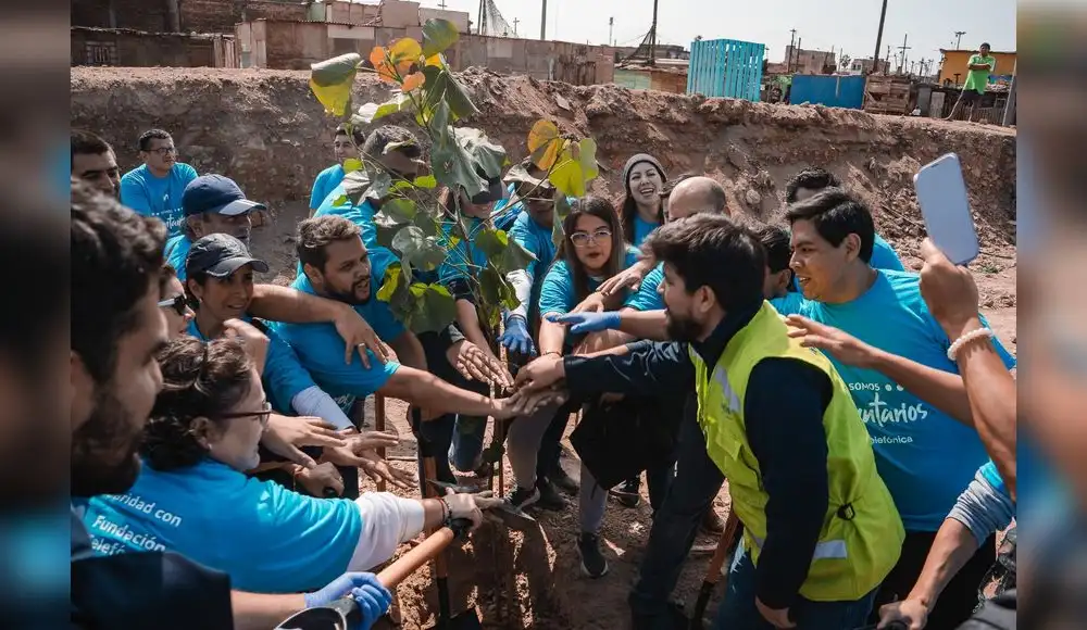 Voluntarios despliegan gran campaña de reforestación en el país Voluntarios despliegan gran campaña de reforestación en el país