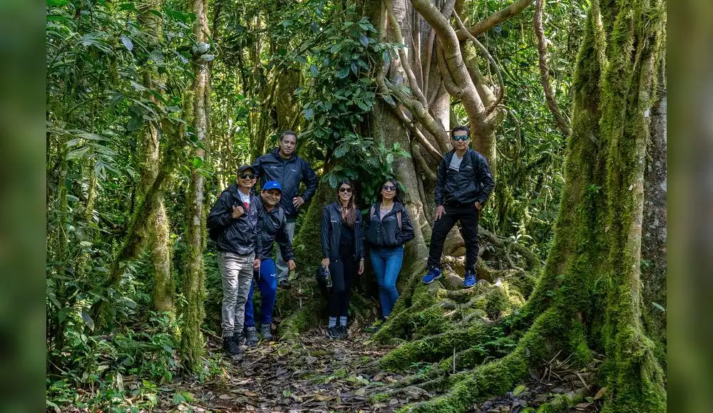 Compañía de tecnología adopta árboles nativos y promueve reforestación Compañía de tecnología adopta árboles nativos y promueve reforestación