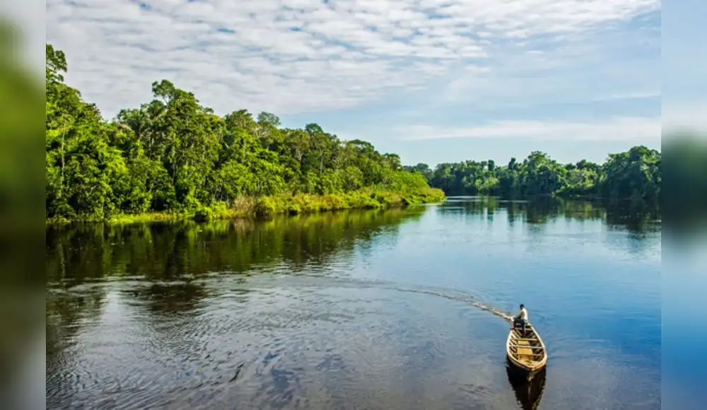 Áreas naturales protegidas registran conservación superior al 95%